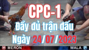 Tất cả trận đá gà thomo CPC1 ngày 24/07/2023