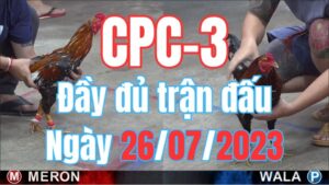 Đá gà thomo CPC3 26-07-2023