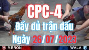 Đá gà thomo CPC4 26-07-2023