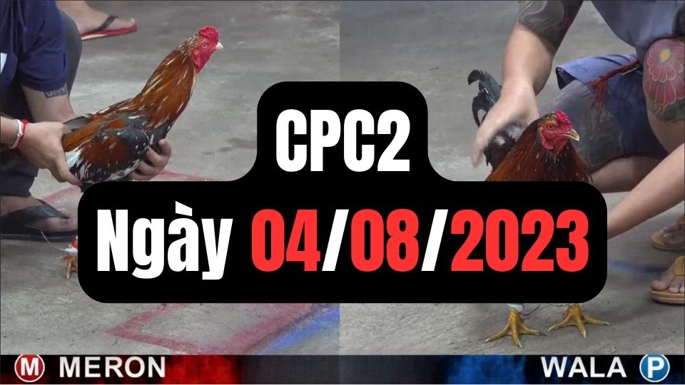Đá gà thomo CPC2 4-08-2023