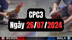 Đá gà thomo | CPC3 | 26/07/2024